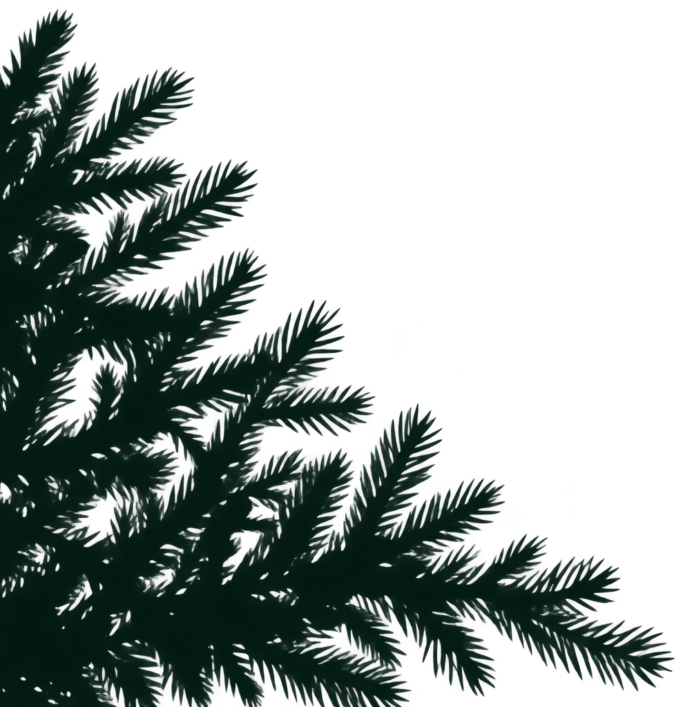 Minimalist Evergreen Branch Silhouette